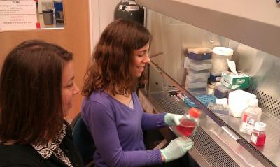 Nicole Vincent Jordan and Amy N. Abell, University of North Carolina School of Medicine