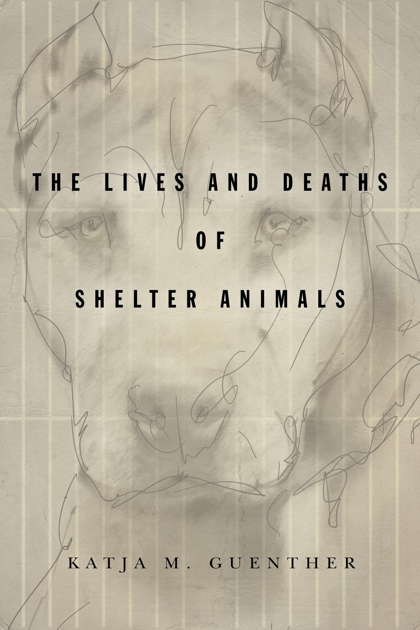 cover of The Lives and Deaths of Shelter Animals