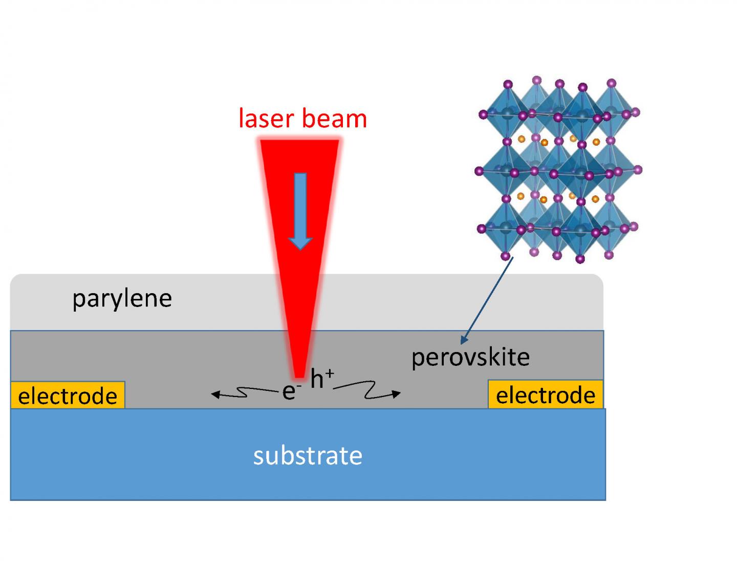 Scanning Photocurrent Imaging Microscopy Provided Direct Measurements of Perovskite Properties
