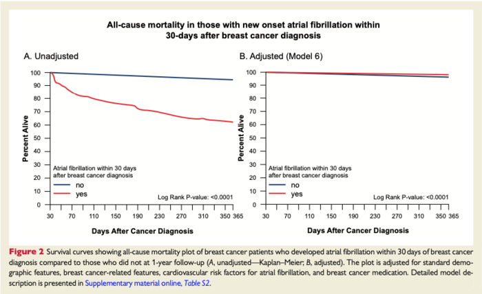 Atrial fibrillation and death are more common during the first year after breast cancer diagnosis