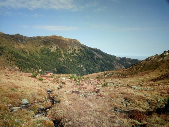 The Locality Where the New Species Potamophylax Coronavirus Was Found