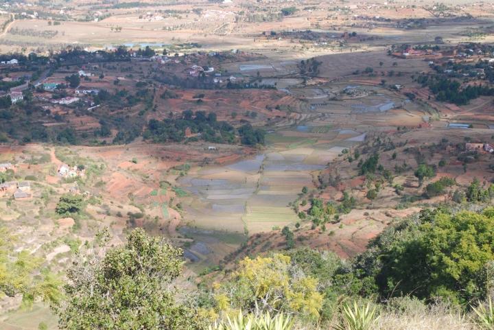 Rice Fields in the Highlands of Madagascar