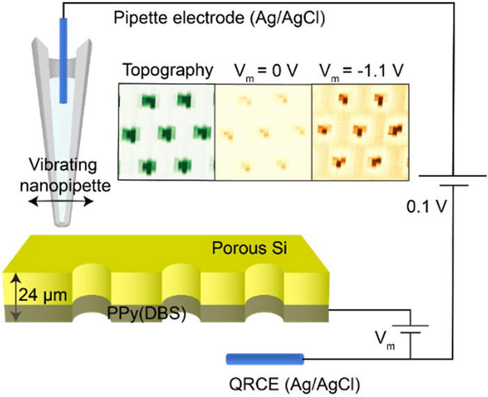 Surface-tracked scanning ion conductance microscopy is used to reproduce topography and topography-correlated ion transport across an ionic redox transistor.
