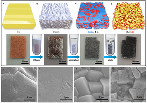 The preparation and morphology changes of the nh-CuIn catalysts.