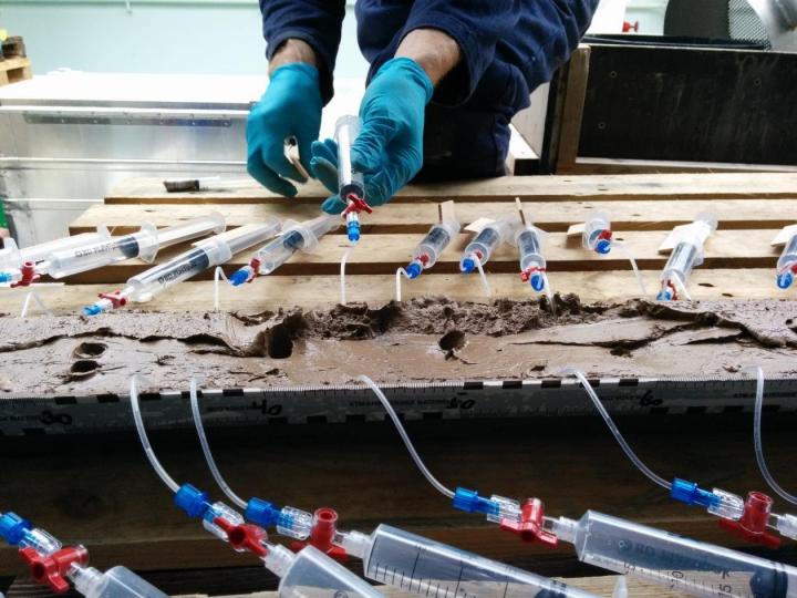 Collection of Porefluid from Sediment Core for Geochemical Analysis