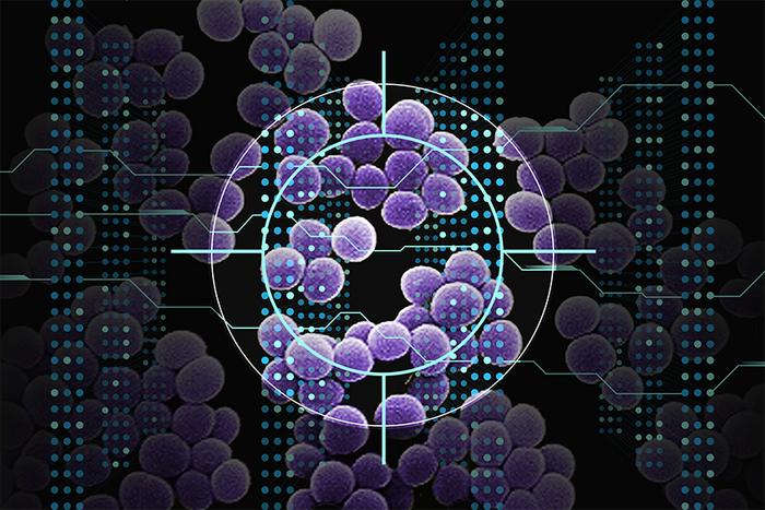 The usage of AI, MIT researchers determine a brand new elegance of antibiotic applicants