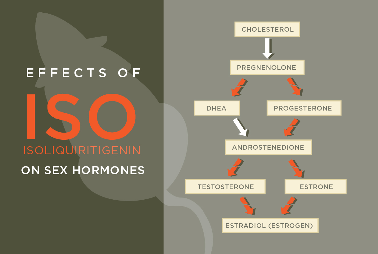 Licorice compound interferes with sex hormone EurekAlert!