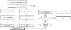 Fig. 3. Technology roadmap for this work’s “best practice” in paleoclimate interpretation.