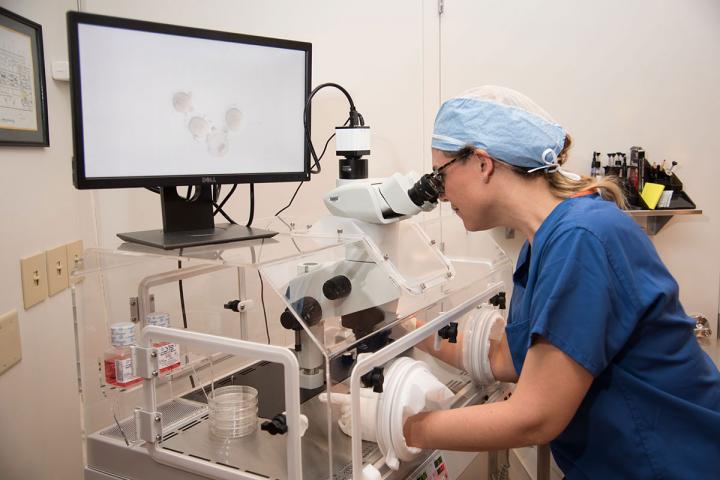 Emily S. Jungheim, MD, Washington University in St. Louis 