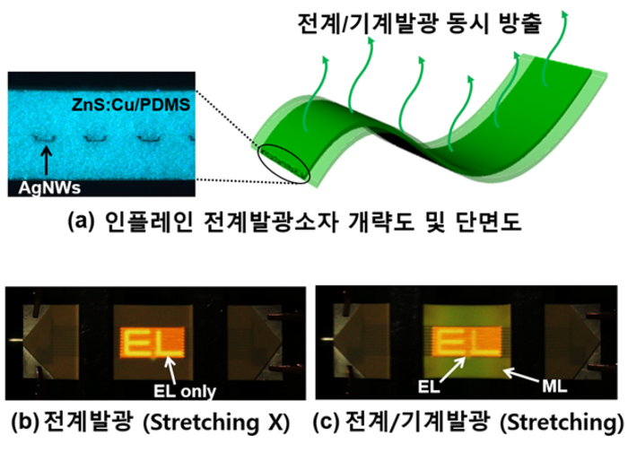 in-plane an electroluminescent device schematic diagram and luminous pattern