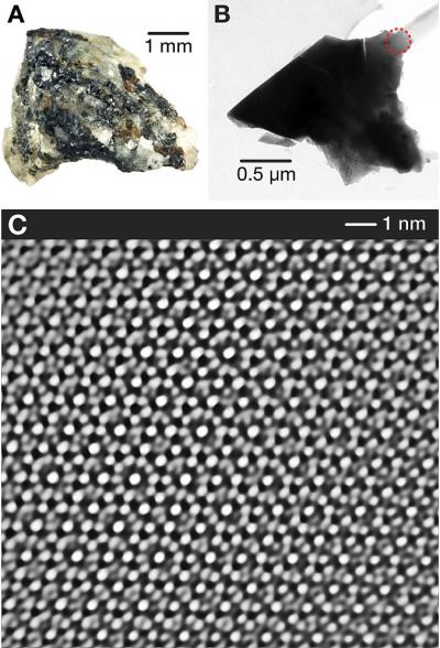 A Diamond in the Ruff (1 of 4) [IMAGE] | EurekAlert! Science News Releases