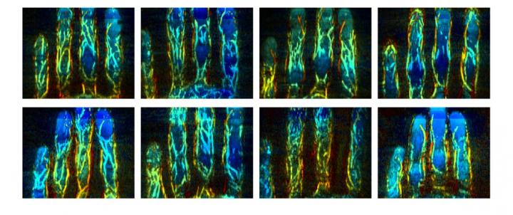 Finger vessel images