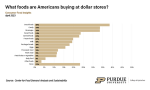 Foods recently purchased at dollar stores