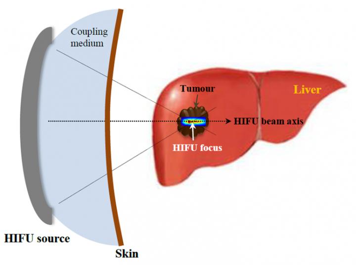 Conceptual Diagram