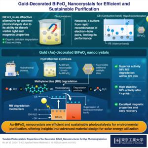 Gold-Decorated BiFeO3 Nanocrystals for Efficient and Sustainable Purification