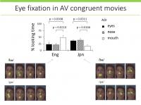 Eye Fixation in Audio-Video Congruent Video
