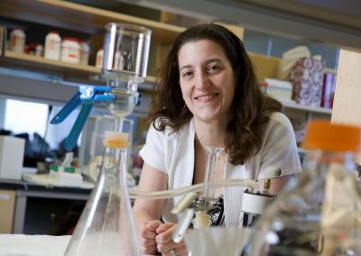 Terri Camesano, Worcester Polytechnic Institute