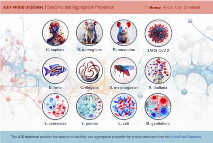 Developed the most comprehensive database for the study of protein aggregation