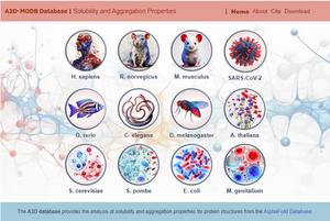 Developed the most comprehensive database for the study of protein aggregation