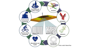 Electrolyte-gated carbon nanotube field-effect transistor-based biosensors show promise for many applications