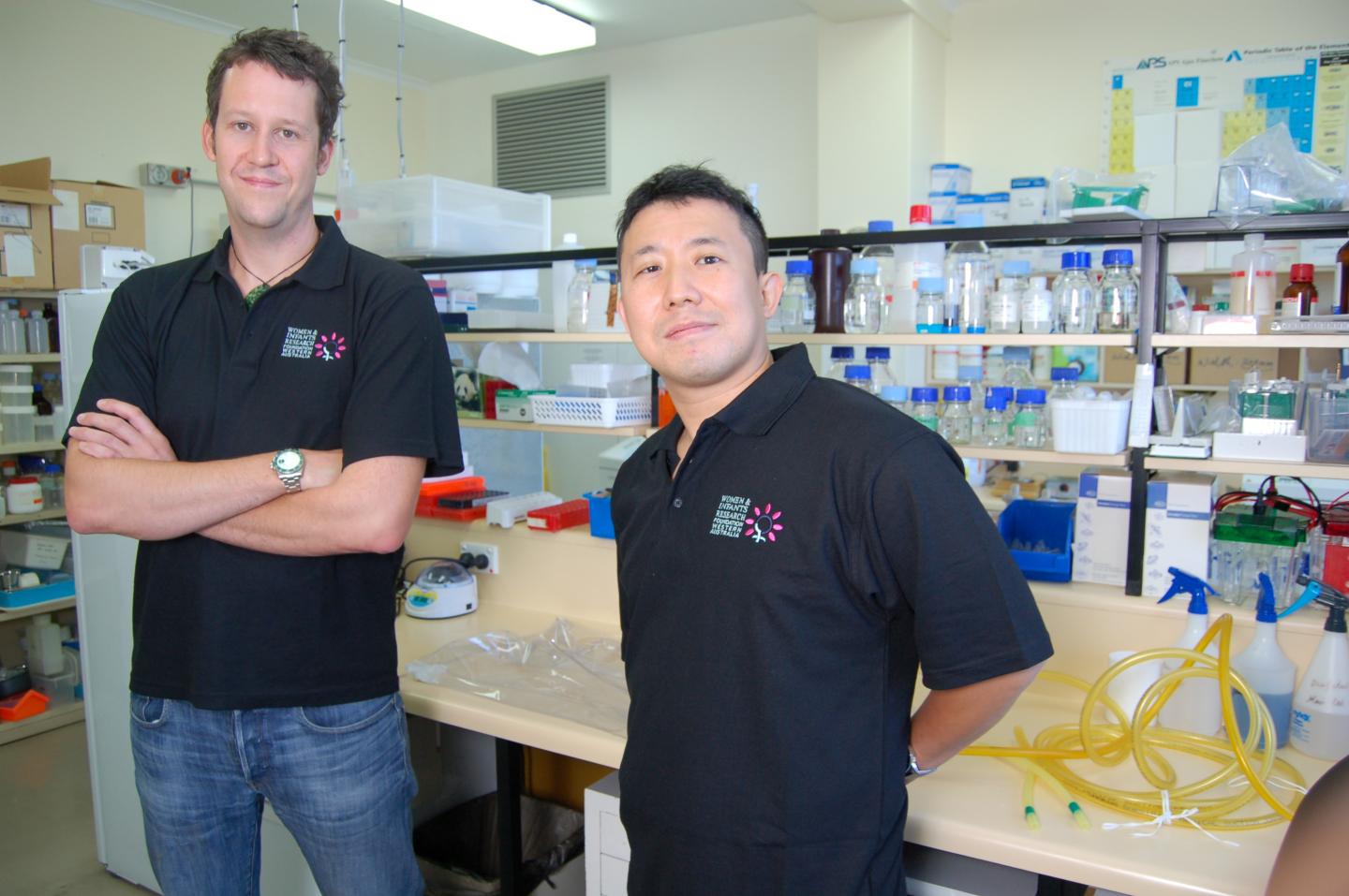 Artificial Womb Raises Hope for Premature Babies