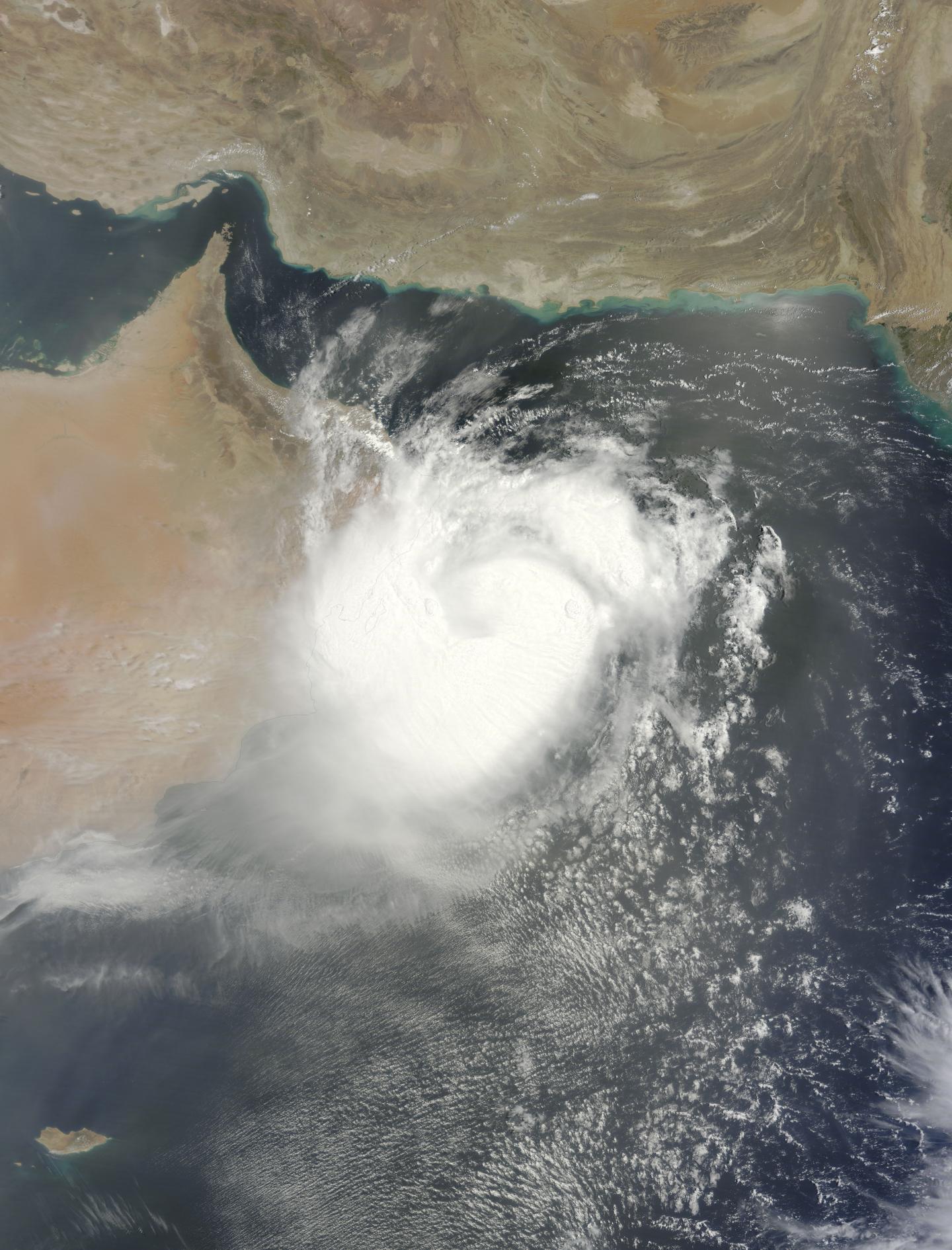 Terra Image of Ashobaa