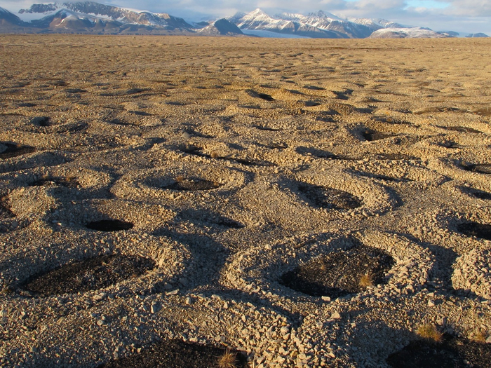 Svalbard Circles