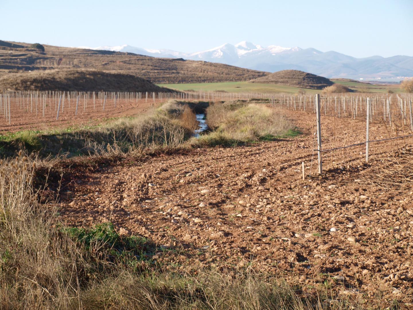Sediment Accumulation