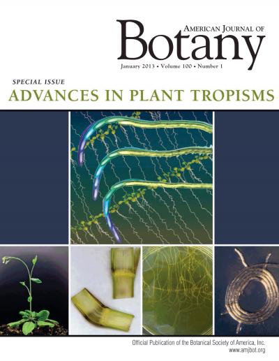 <i>American Journal of Botany</i> Cover of January 2013 Special Issue: Advances in Plant Tropisms