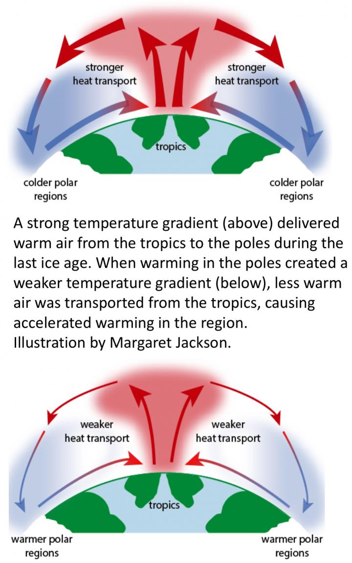 Tropical-Polar Heat Transport