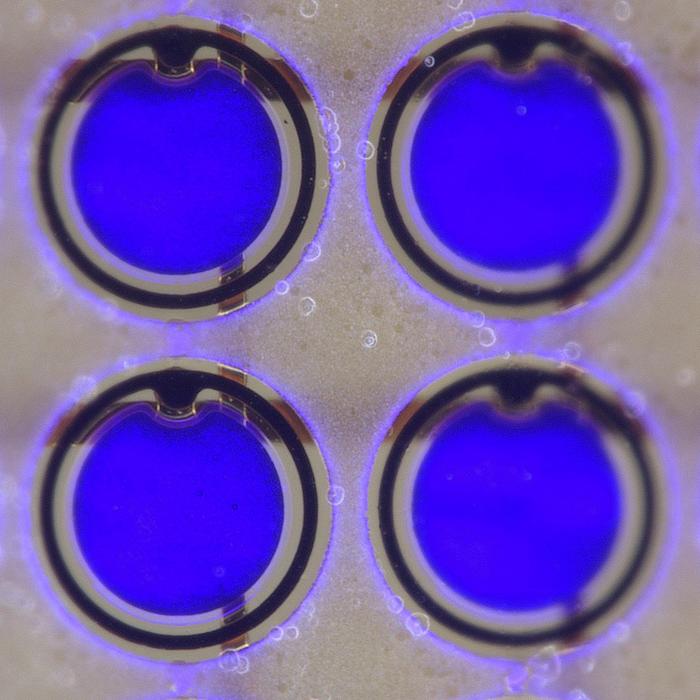 Close up of the LEDs