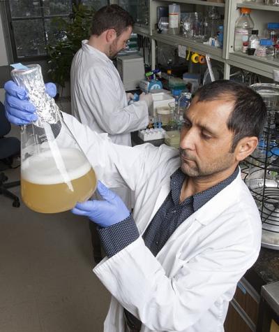 Jamshid Tanha, National Research Council of Canada