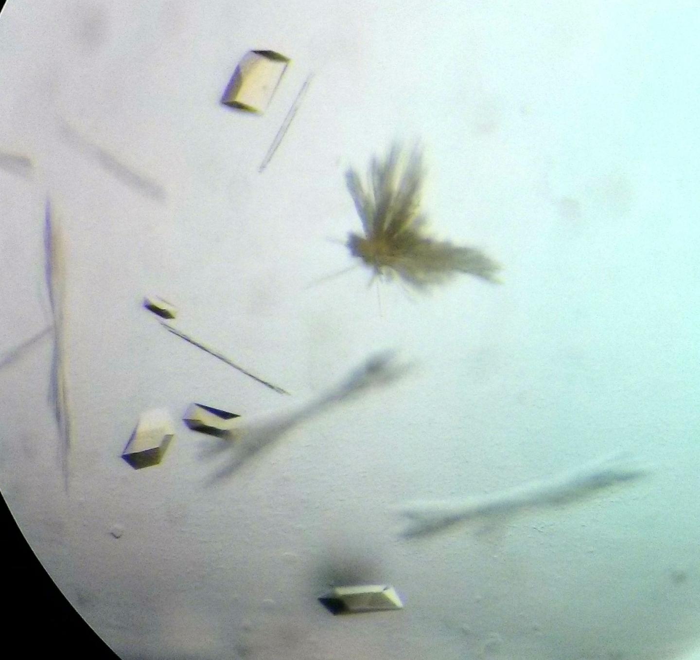 Crystallized enzyme for ethane degradation