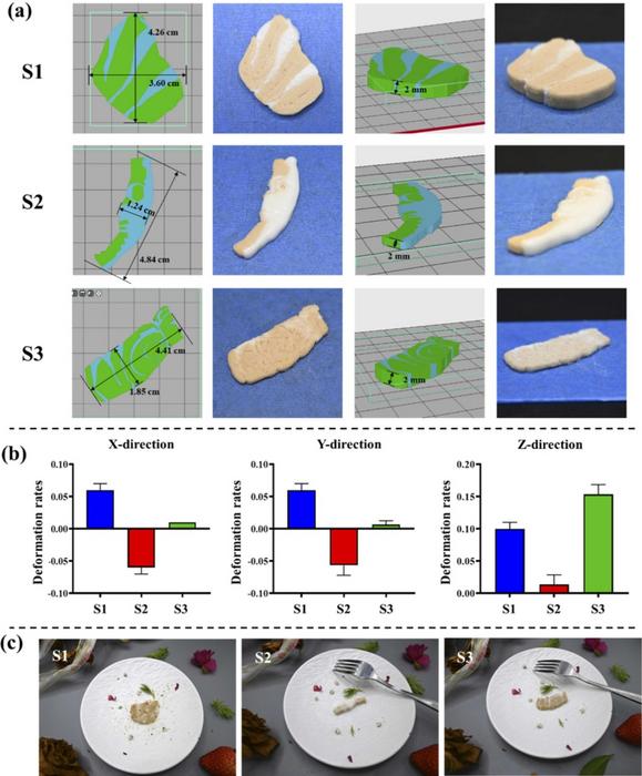 Fig.2 Dual-nozzle 3D printing of plant-based yellow croaker muscle tissue (S1-dorsal flesh; S2-the base of the belly flesh; S3-the tail).