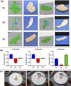 Fig.2 Dual-nozzle 3D printing of plant-based yellow croaker muscle tissue (S1-dorsal flesh; S2-the base of the belly flesh; S3-the tail).