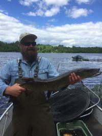 Muskellunge Caught at a Lake in Vilas County, Wisconsin