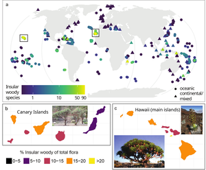 Global geographic distribution of insular woodiness at the level of islands.