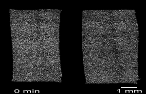 Controlled Cellular Motion