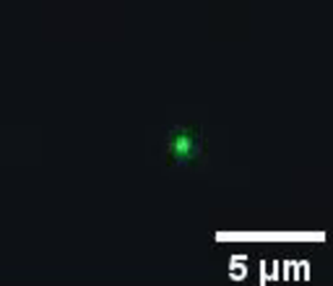 Transferring a nanoparticle