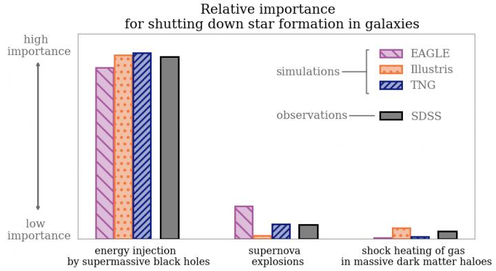Relative importance of supermassive black holes, supernovae & dark matter haloes in shutting down star formation in galaxies