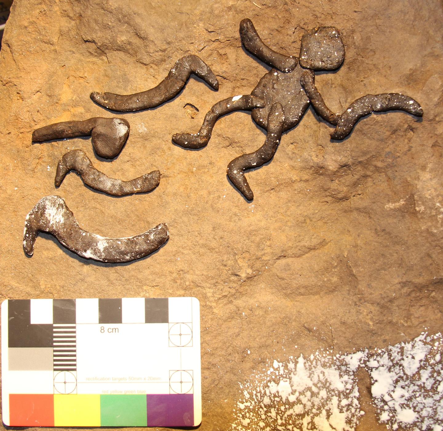 Yilbilinji rockshelter