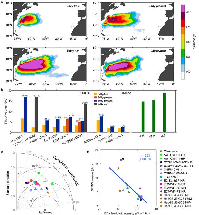 Dependence of STMW representation on model resolution and FOA feedback intensity.