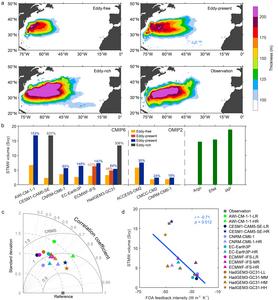 Dependence of STMW representation on model resolution and FOA feedback intensity.