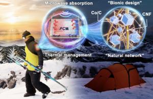 Even in extreme temperature conditions, the neural network-like aerogel-based composite PCMs work to improve the thermal management, solar-thermal conversion and microwave absorption in electronic devices.