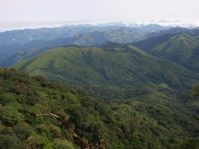Cross River Gorilla Habitat
