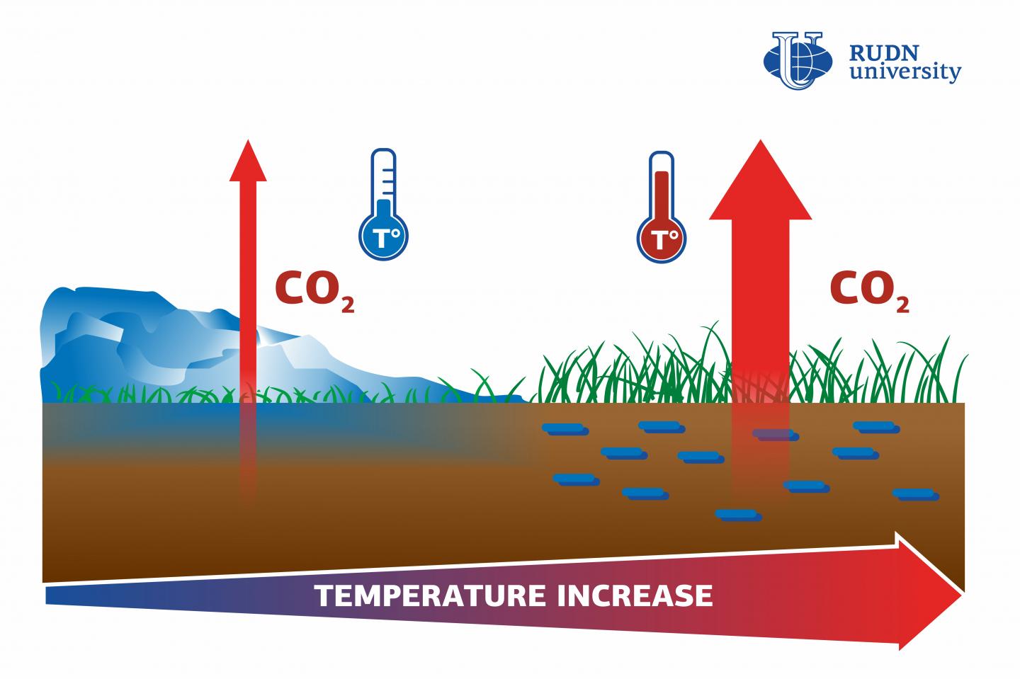 Soil Bogging Caused by Climate Change Adds to the Greenhouse Effect, Says a RUDN University Soil Scientist