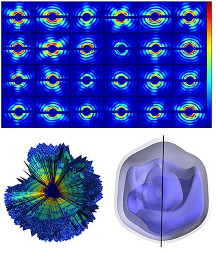 XFEL Image of the Mimivirus