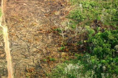 Fire Leakage from Deforested Land