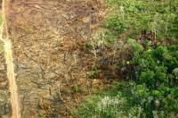 Fire Leakage from Deforested Land