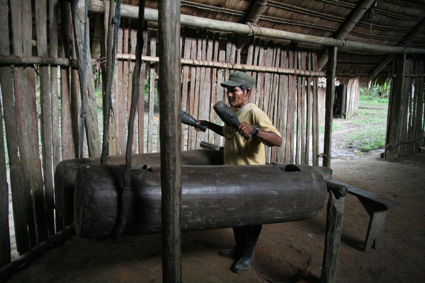 Amazonian Bora